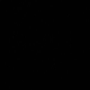 Meet your Posher, Darrius